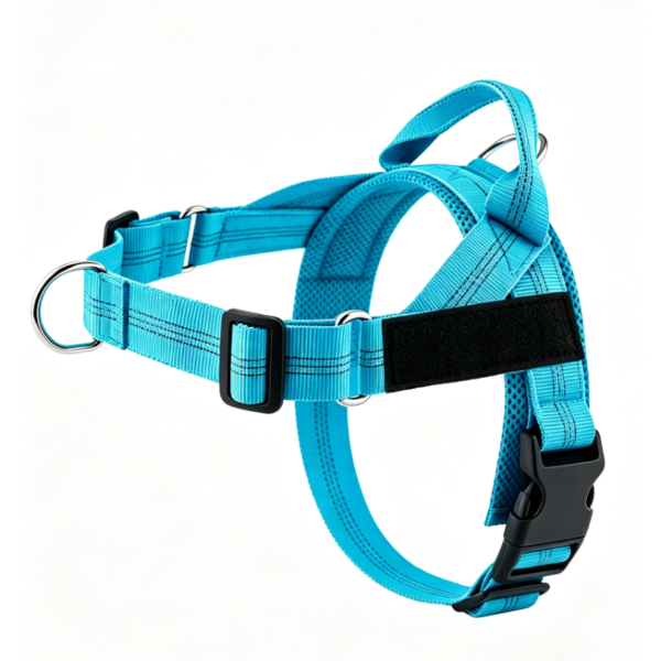 Harness